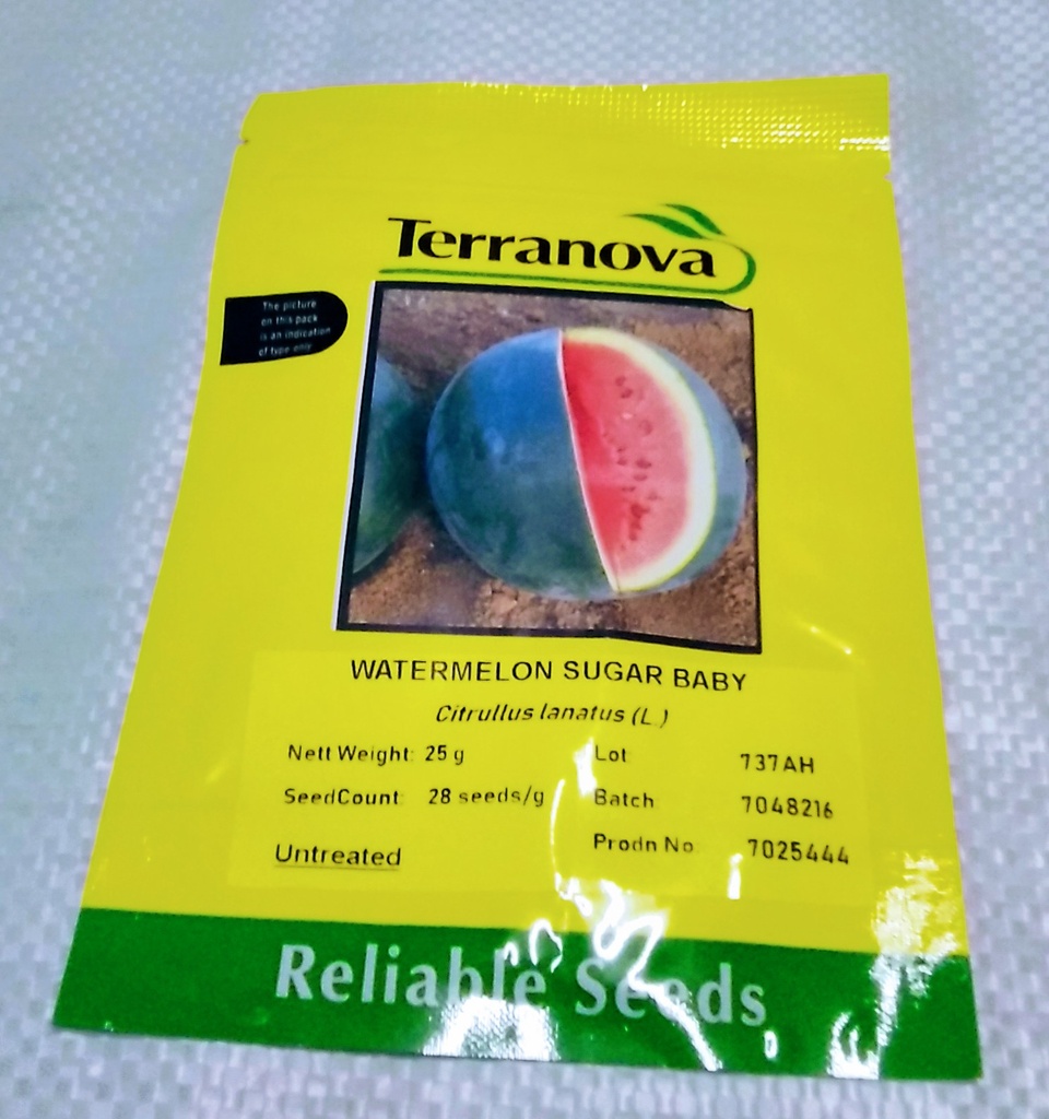 Seed Terranova Watermelon Sugar Baby 25g 