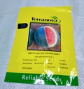 Seed Terranova Watermelon Sugar Baby 25g 