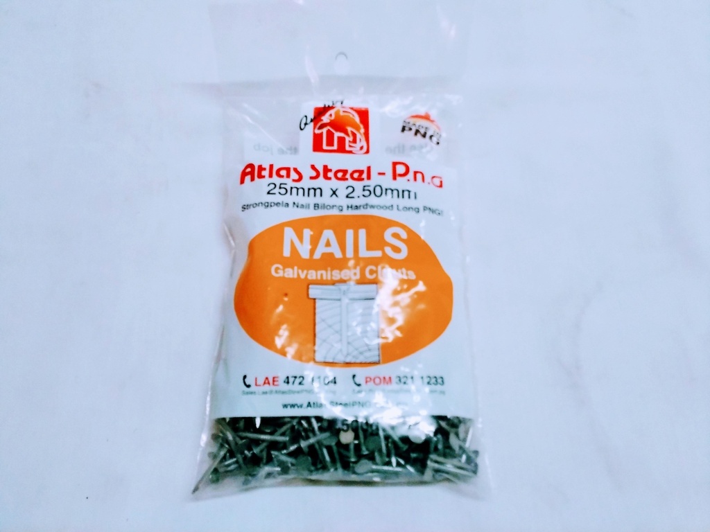 Nail Galv Clout 25x2.5 500G