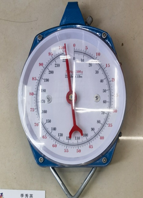 [MA0369] Scale Hanging 100kg